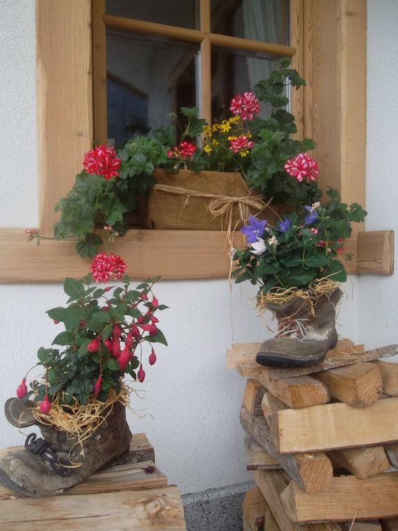 Agriturismo Maso Grisun Borzago Exterior photo