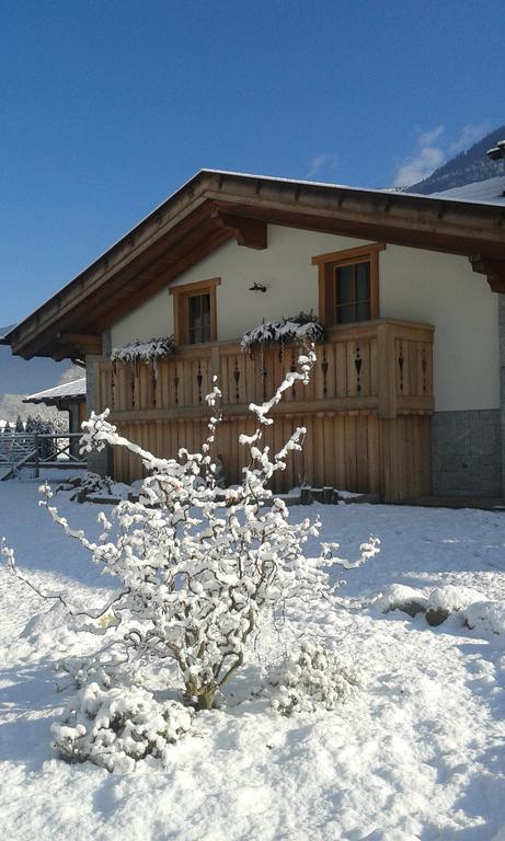 Agriturismo Maso Grisun Borzago Exterior photo