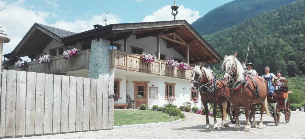 Agriturismo Maso Grisun Villa Borzago Exterior photo